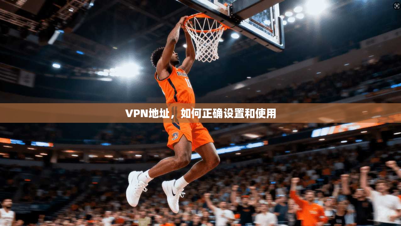 VPN地址，如何正确设置和使用