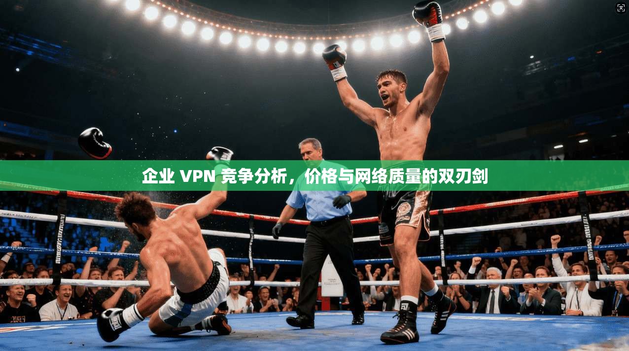 企业 VPN 竞争分析,价格与网络质量的双刃剑