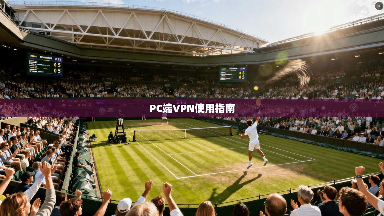 PC端VPN使用指南