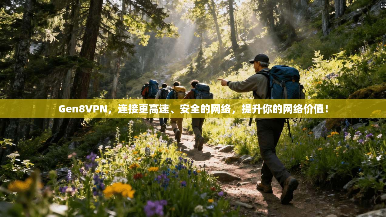 Gen8VPN，连接更高速、安全的网络，提升你的网络价值！
