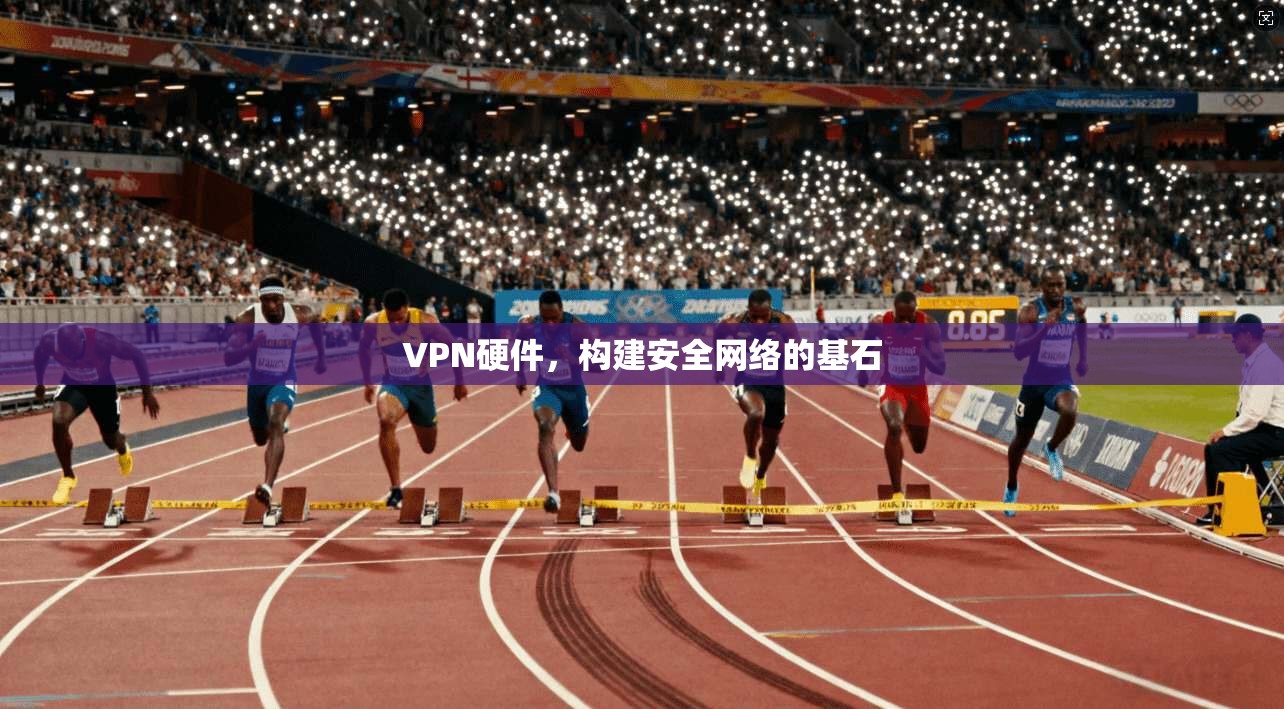 VPN硬件，构建安全网络的基石