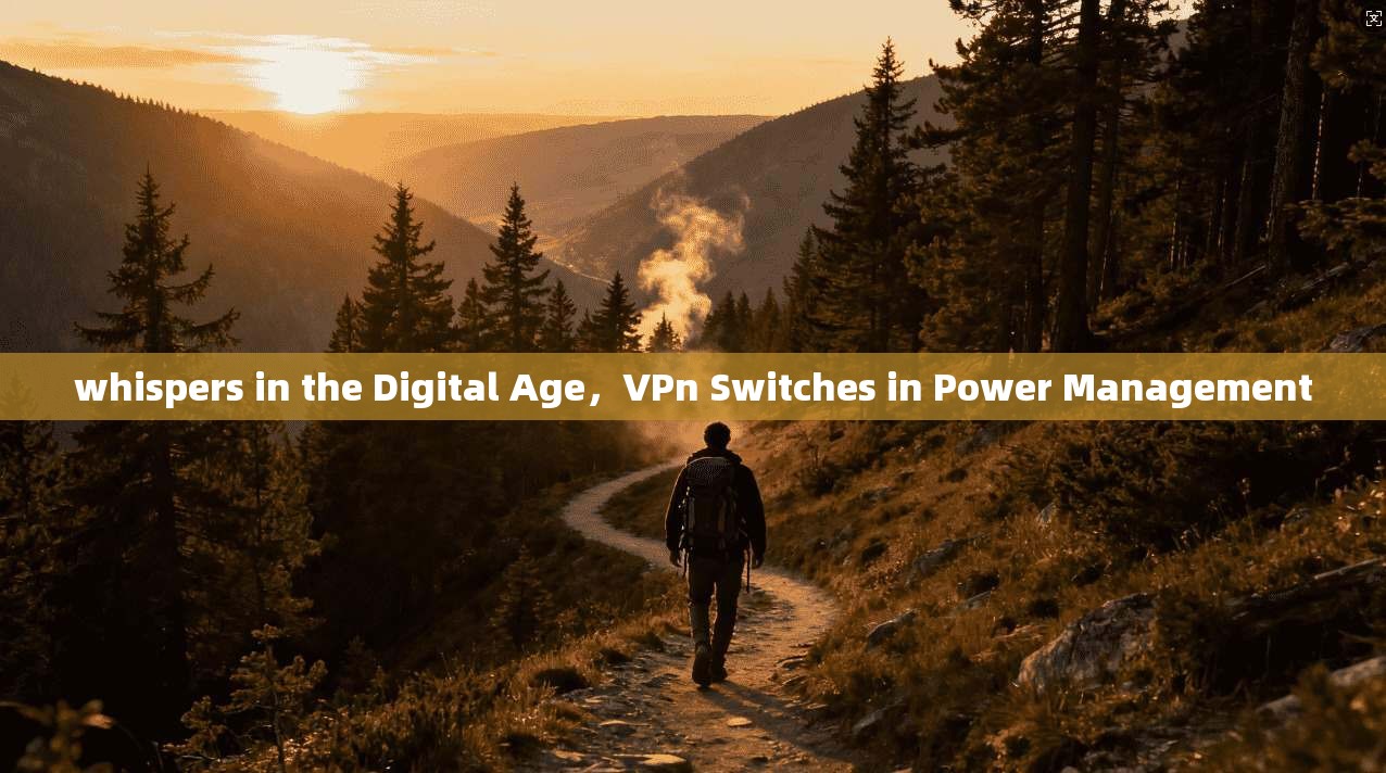 whispers in the Digital Age，VPn Switches in Power Management