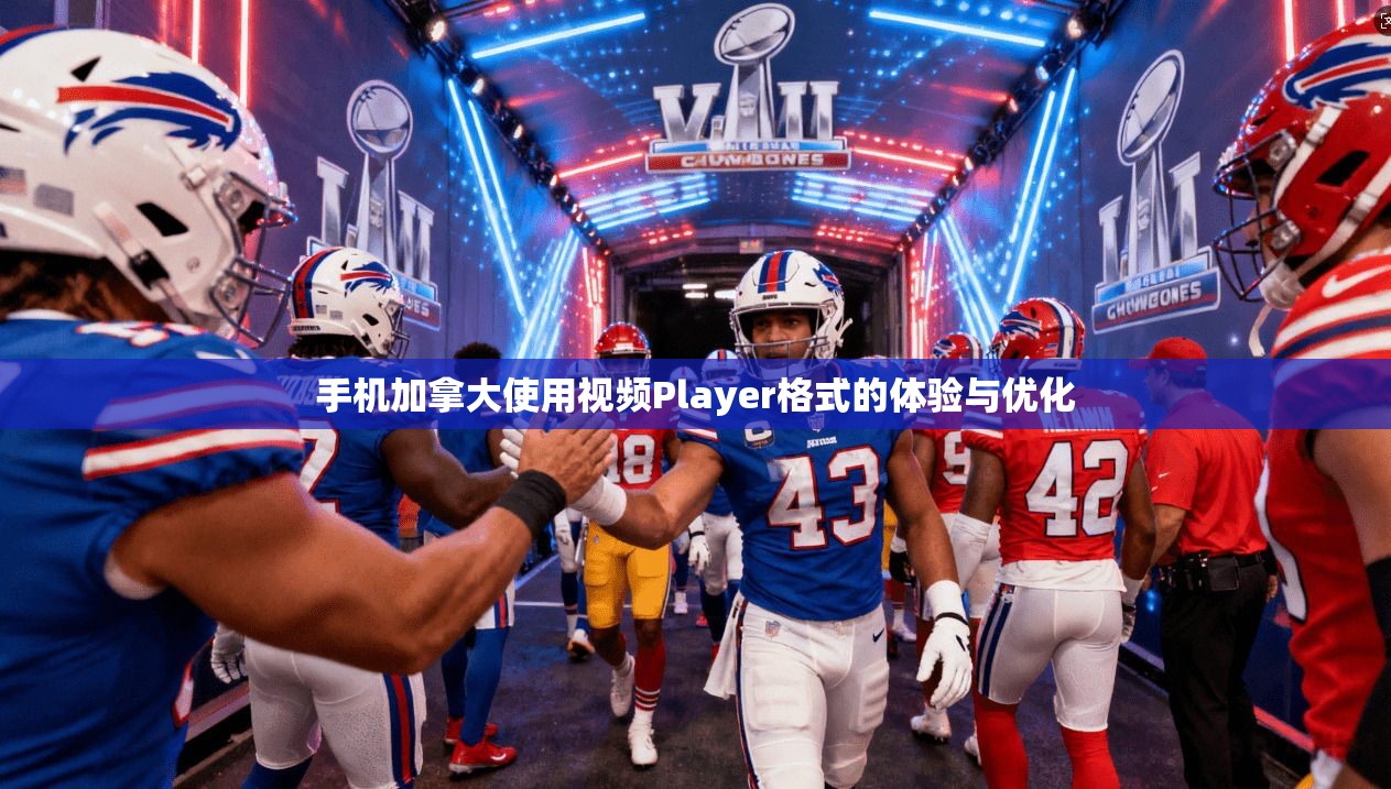 手机加拿大使用视频Player格式的体验与优化