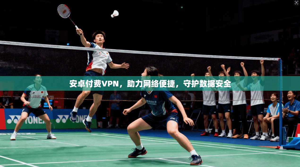 安卓付费VPN，助力网络便捷，守护数据安全