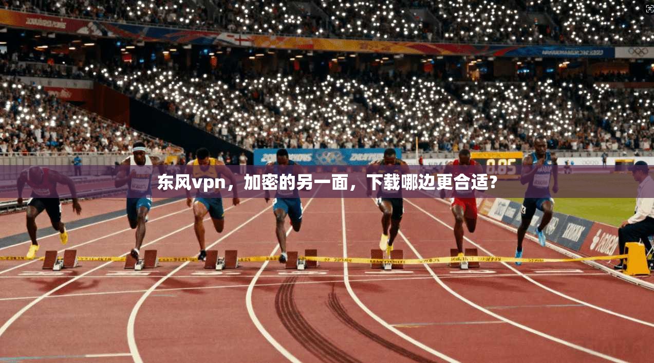 东风vpn，加密的另一面，下载哪边更合适？