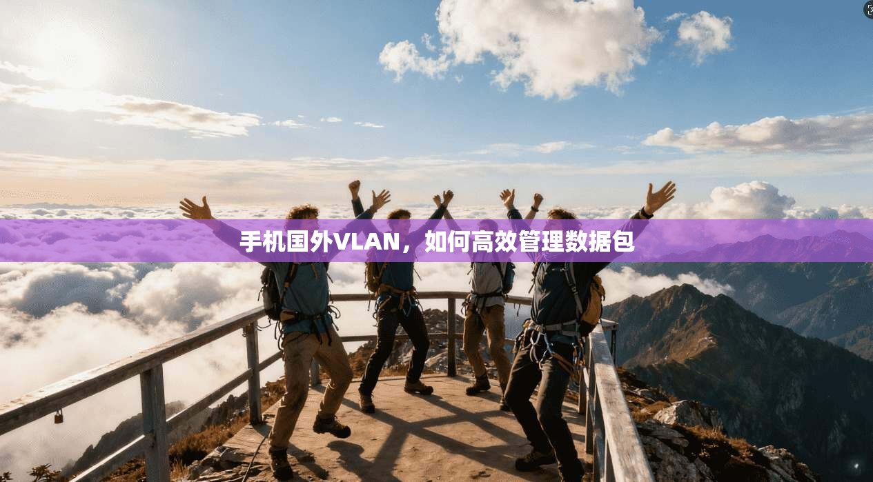 手机国外VLAN,如何高效管理数据包