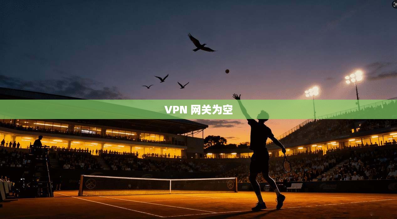 VPN 网关为空