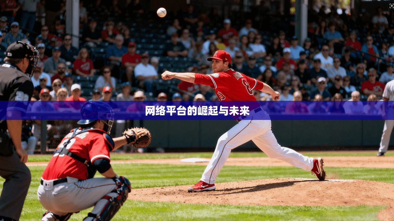 网络平台的崛起与未来