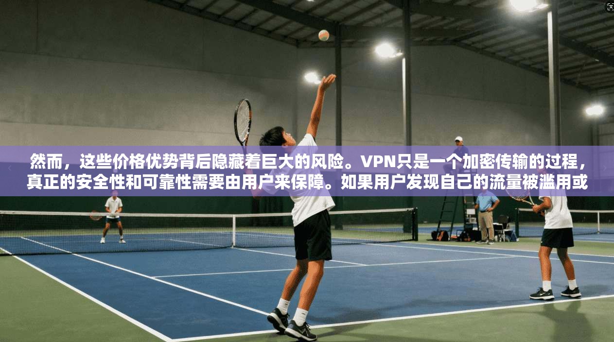 然而，这些价格优势背后隐藏着巨大的风险。VPN只是一个加密传输的过程，真正的安全性和可靠性需要由用户来保障。如果用户发现自己的流量被滥用或被攻击，他们只能通过增加支付或寻求专业帮助来解决问题