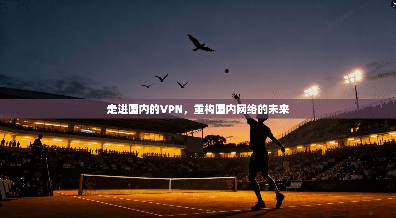 走进国内的VPN，重构国内网络的未来
