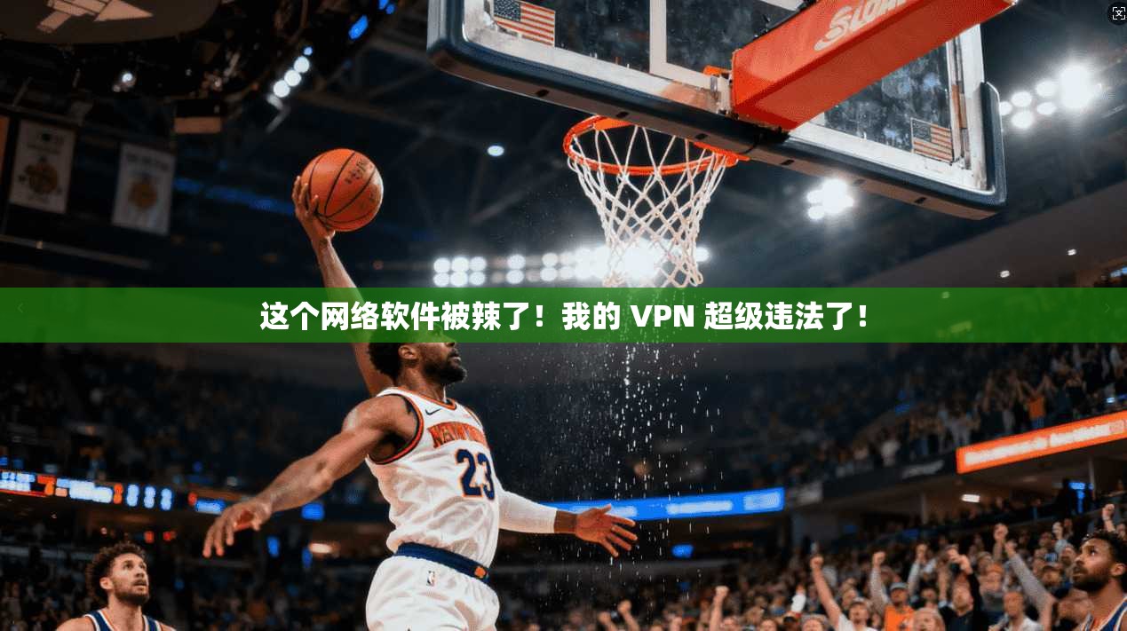 这个网络软件被辣了!我的 VPN 超级违法了!