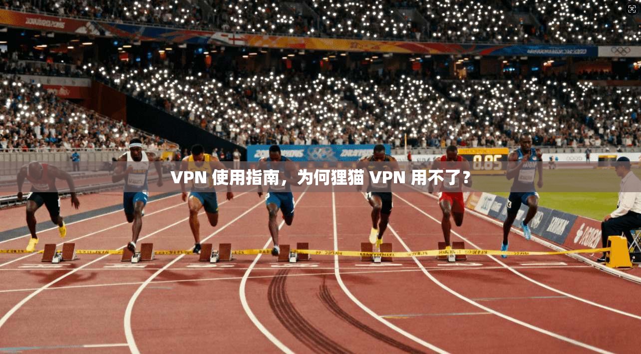 VPN 使用指南，为何狸猫 VPN 用不了？