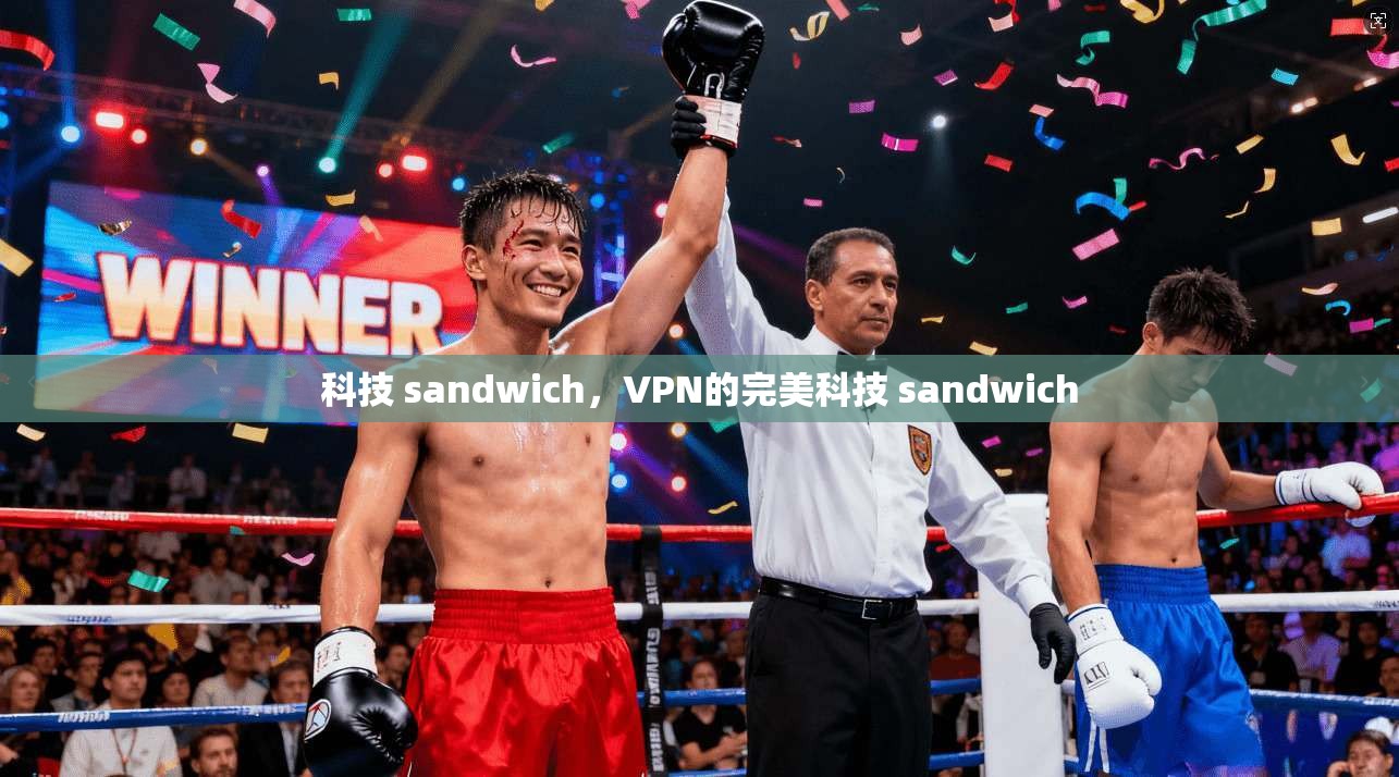 科技 sandwich，VPN的完美科技 sandwich