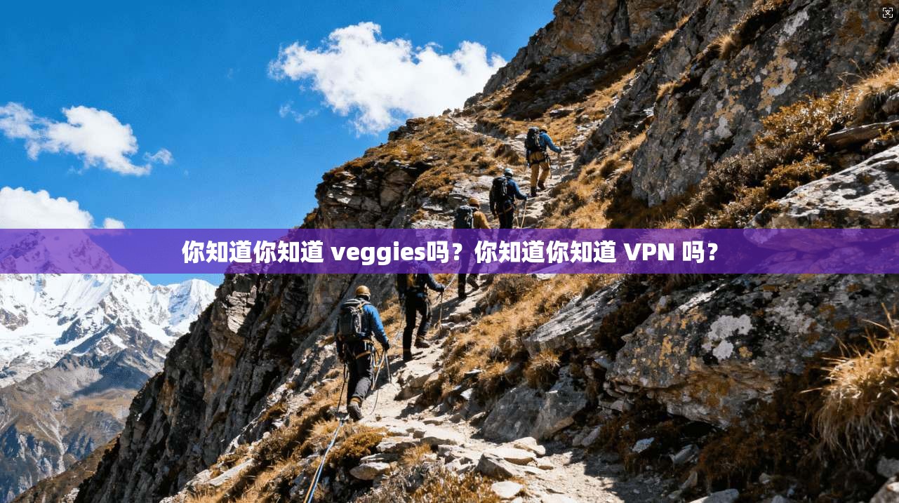 你知道你知道 veggies吗？你知道你知道 VPN 吗？