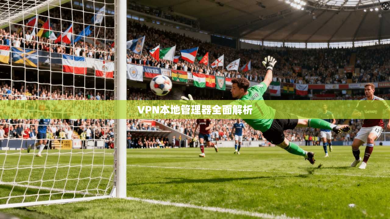 VPN本地管理器全面解析