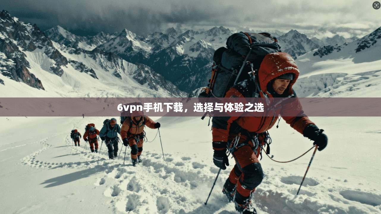 6vpn手机下载,选择与体验之选