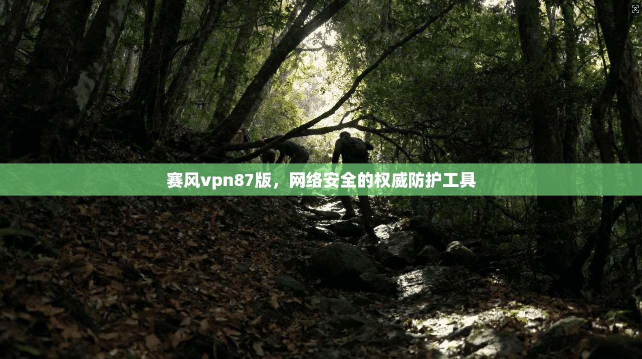 赛风vpn87版,网络安全的权威防护工具