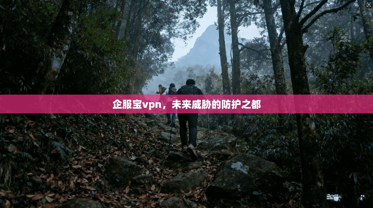 企服宝vpn,未来威胁的防护之都