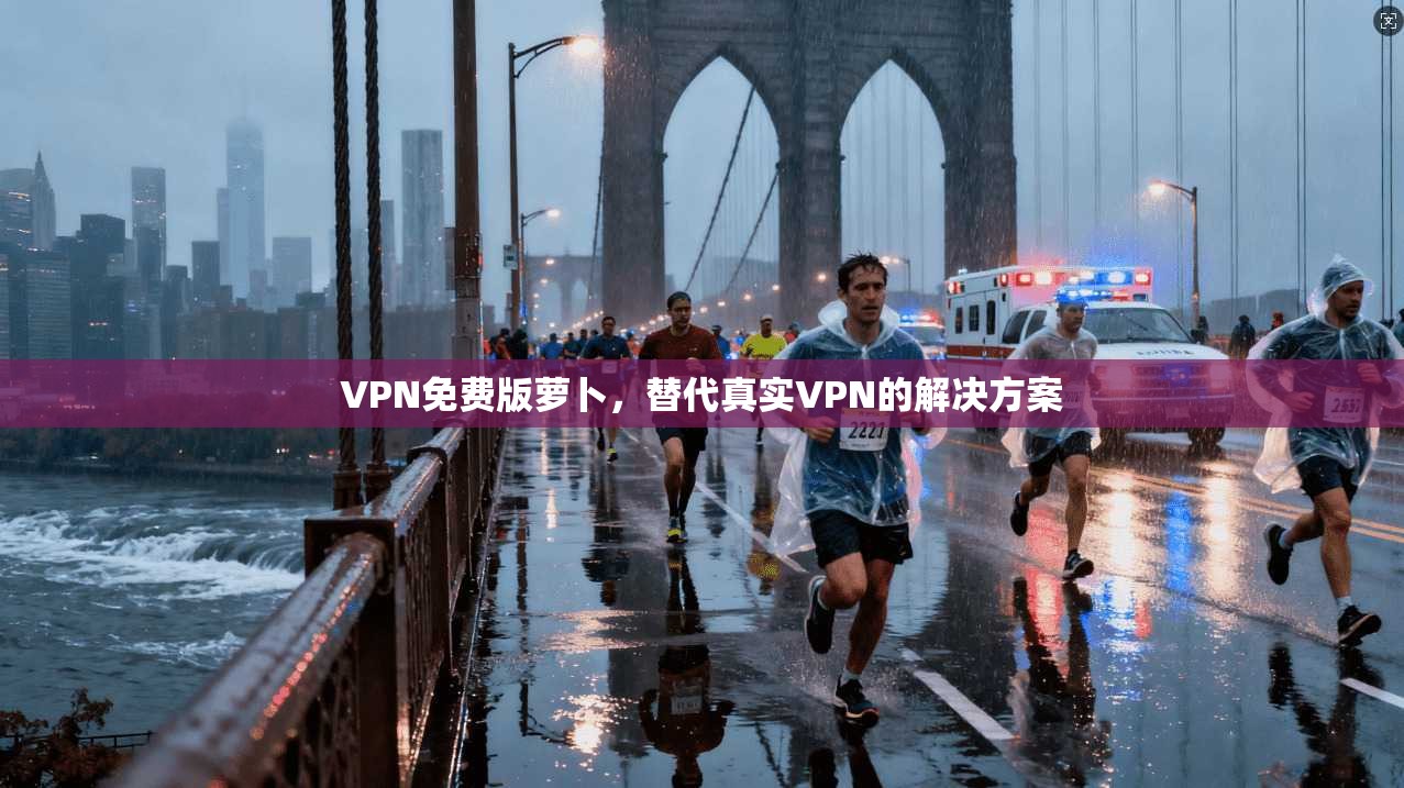 VPN免费版萝卜，替代真实VPN的解决方案