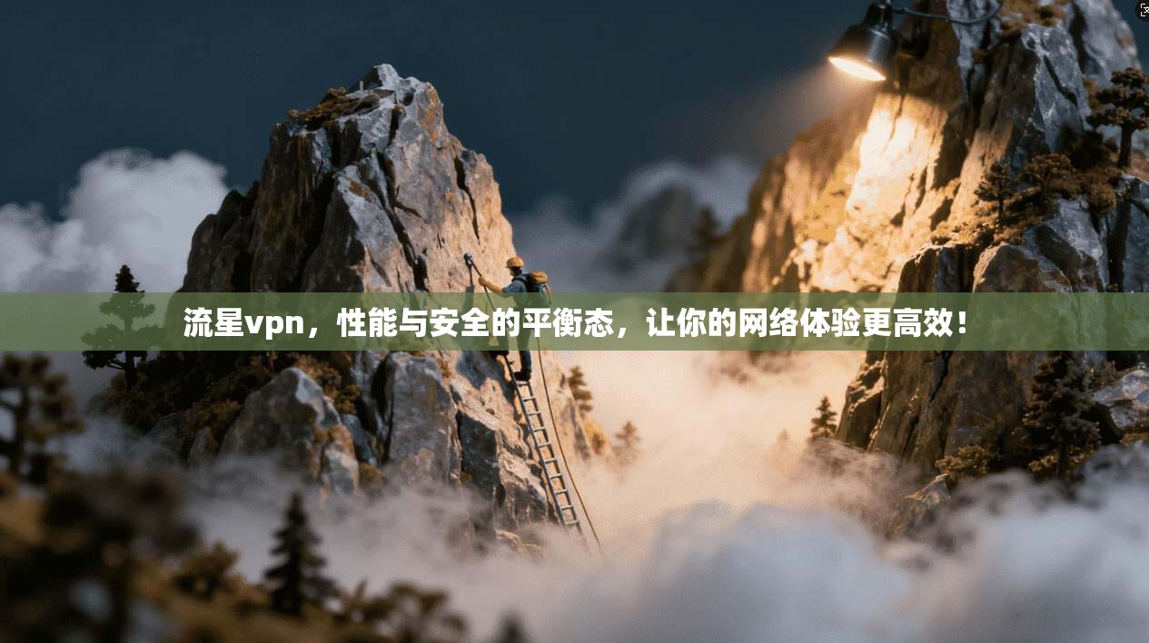 流星vpn，性能与安全的平衡态，让你的网络体验更高效！