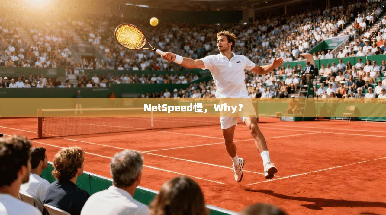 NetSpeed慢,Why?