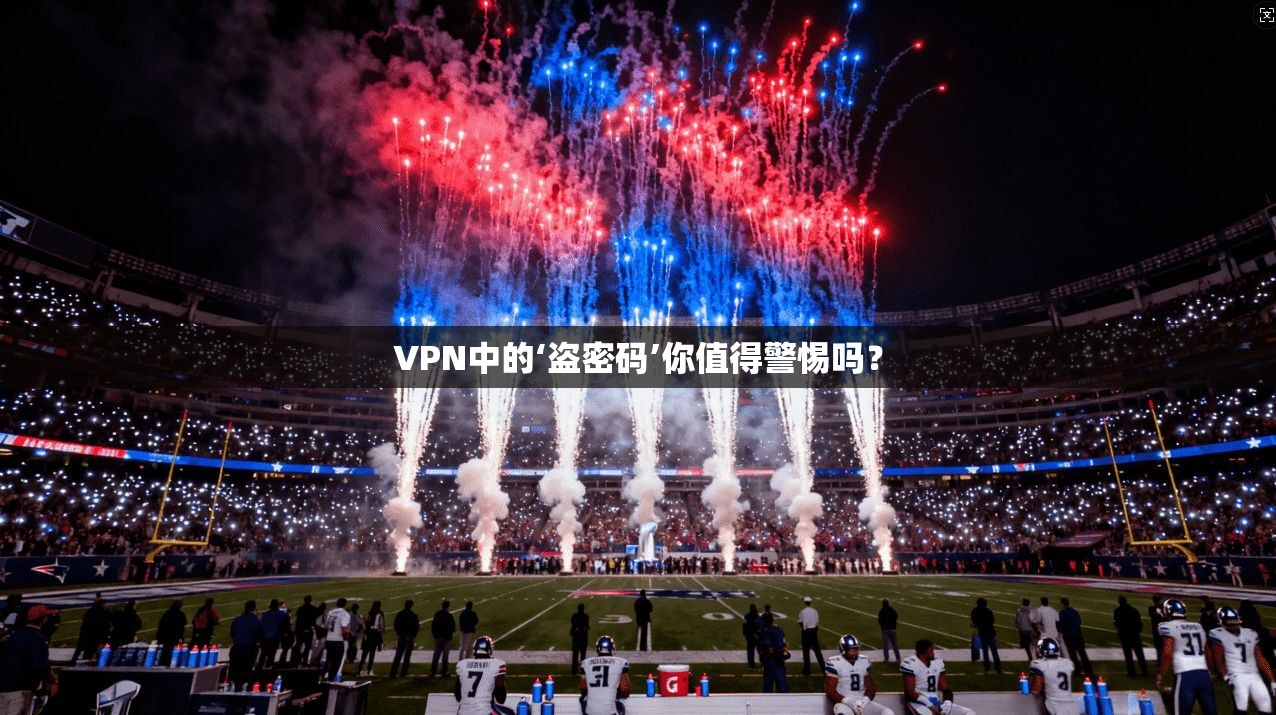 VPN中的‘盗密码’你值得警惕吗？