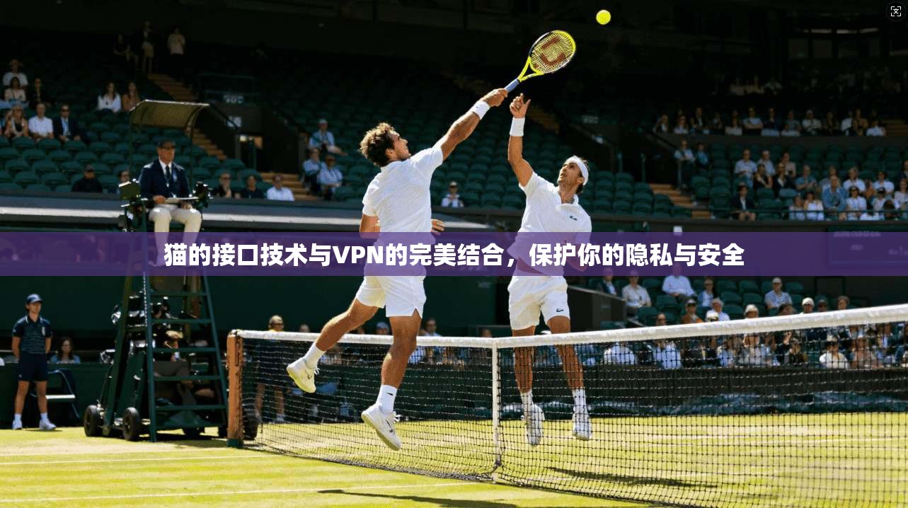 猫的接口技术与VPN的完美结合，保护你的隐私与安全