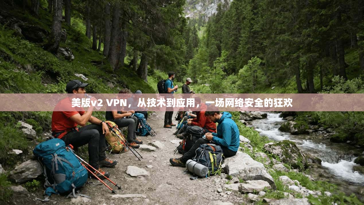 美版v2 VPN，从技术到应用，一场网络安全的狂欢