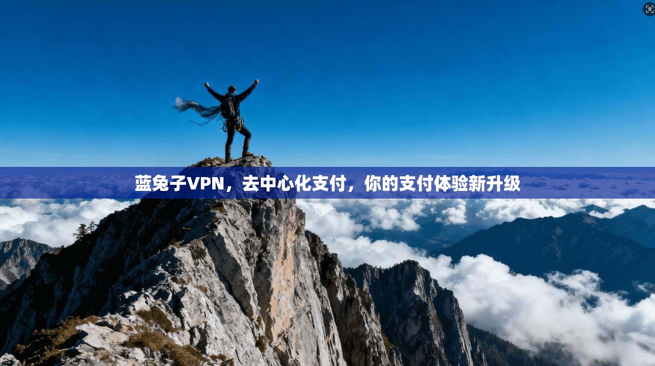 蓝兔子VPN，去中心化支付，你的支付体验新升级