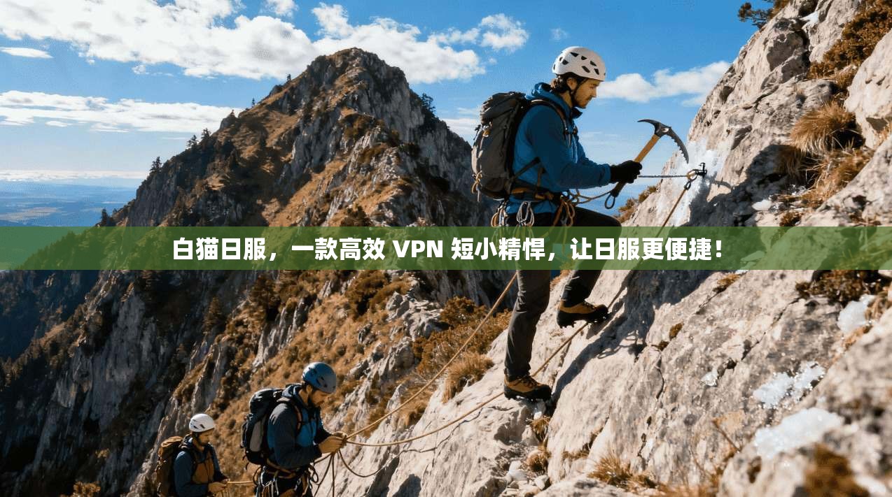 白猫日服，一款高效 VPN 短小精悍，让日服更便捷！