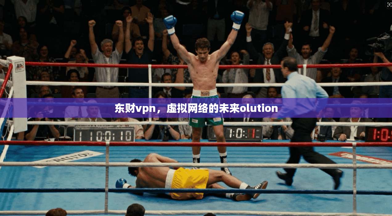 东财vpn，虚拟网络的未来olution