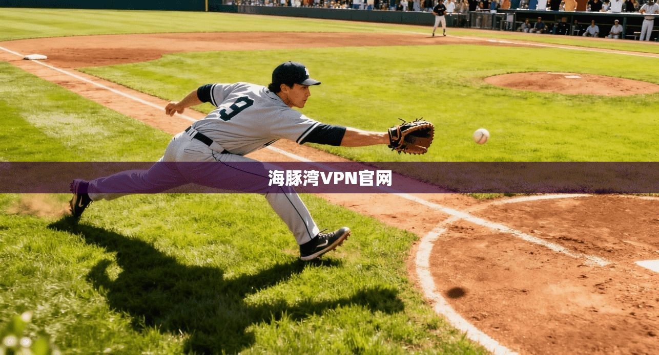 海豚湾VPN官网