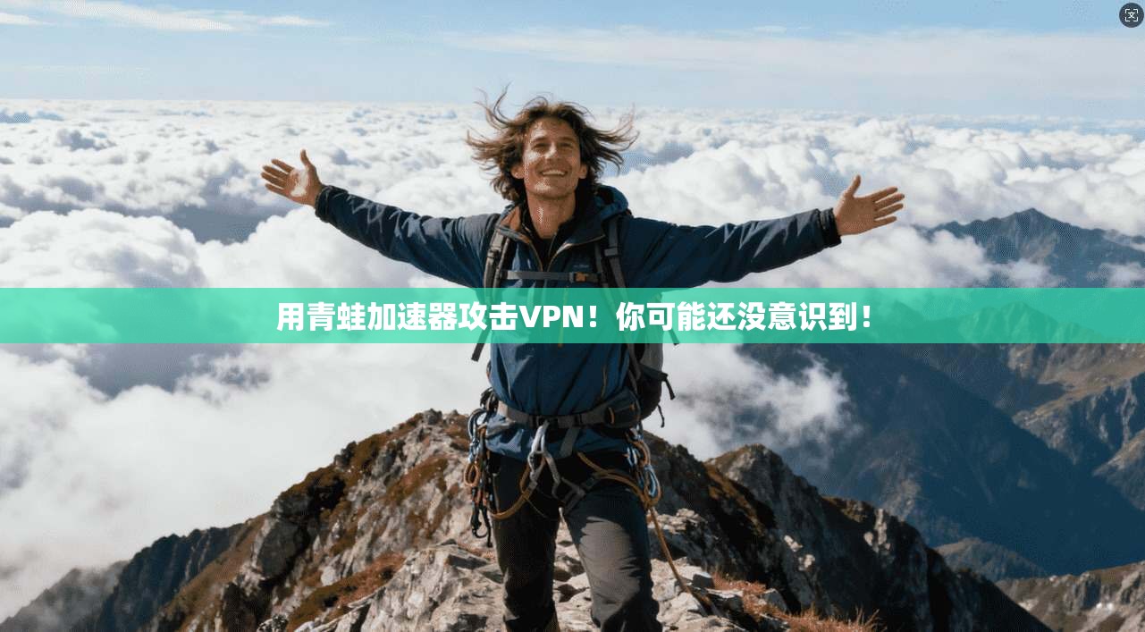 用青蛙加速器攻击VPN！你可能还没意识到！