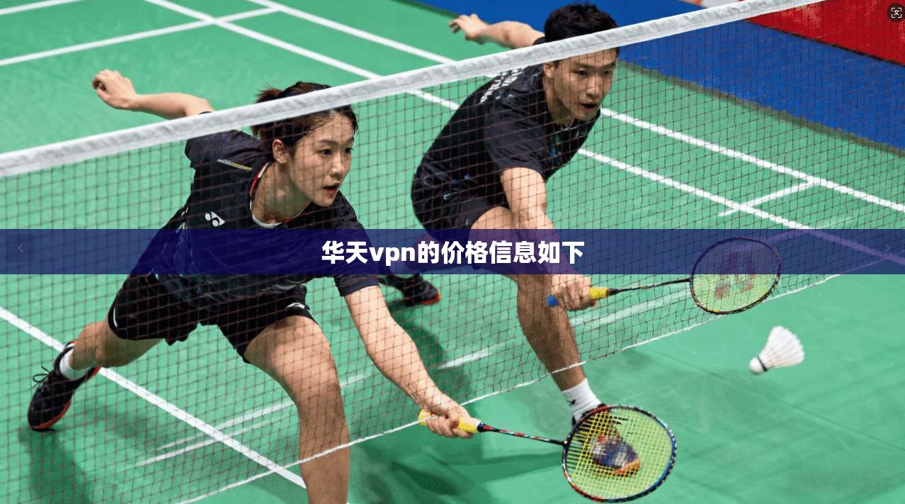 华天vpn的价格信息如下