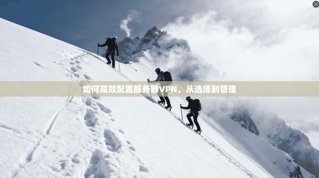 如何高效配置服务器VPN，从选择到管理