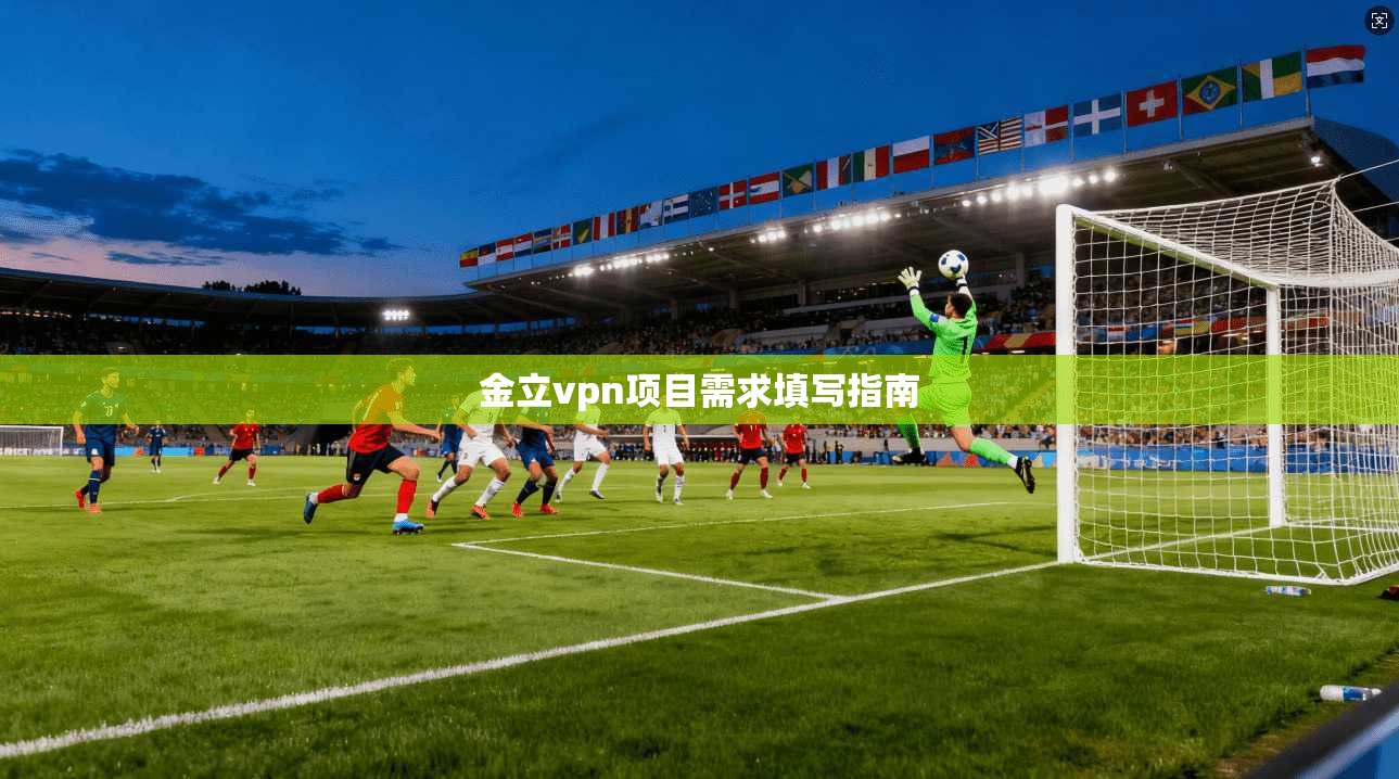 金立vpn项目需求填写指南