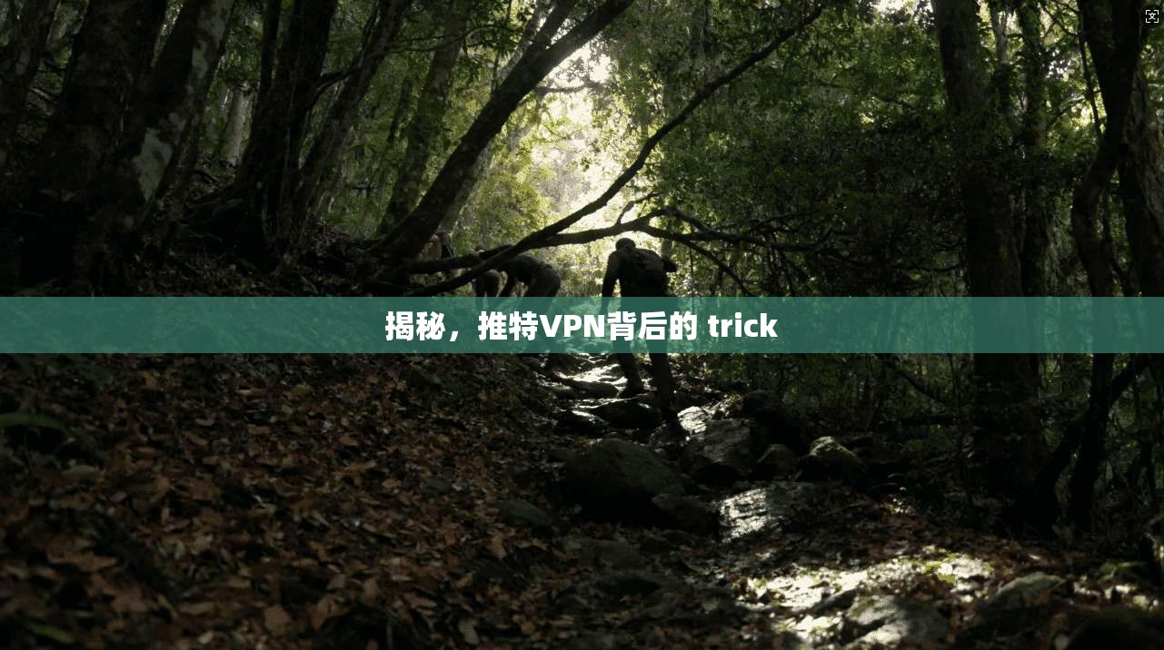 揭秘，推特VPN背后的 trick
