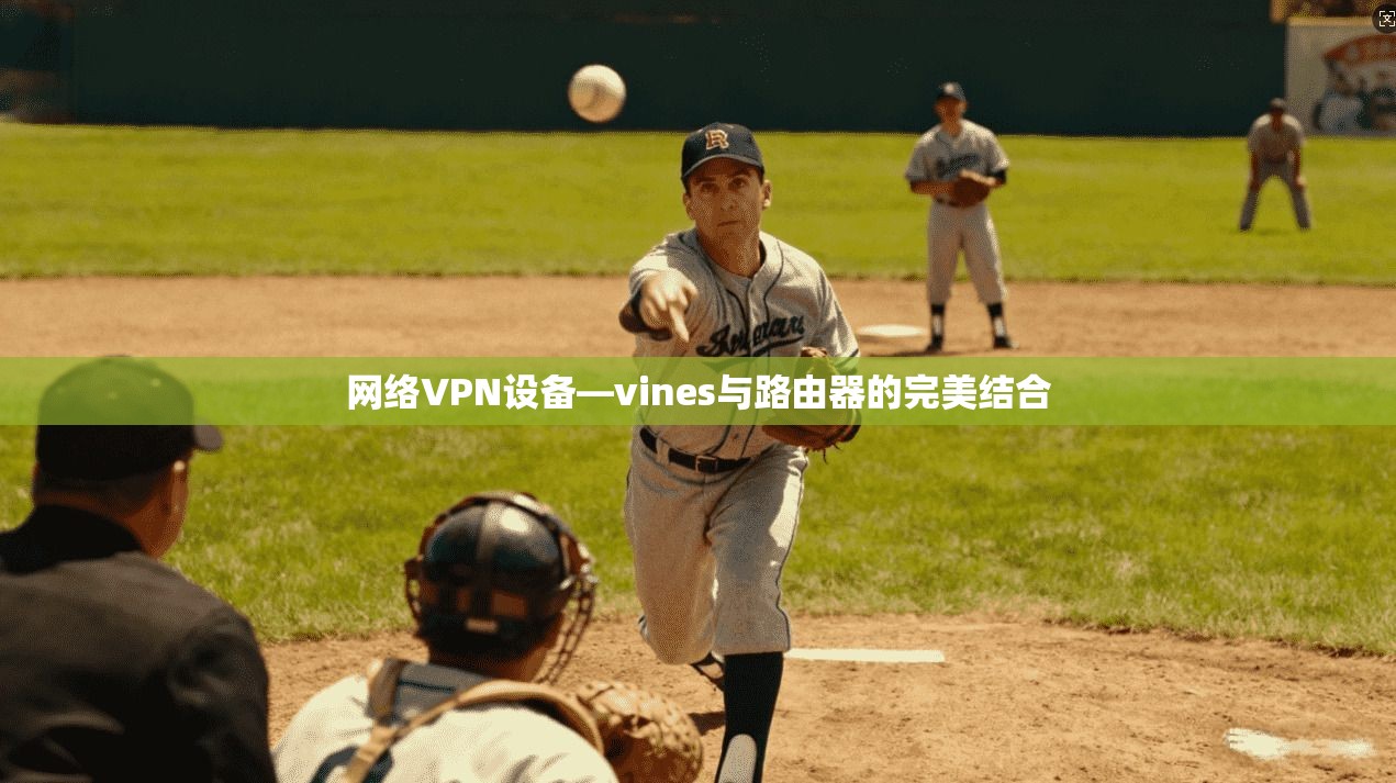 网络VPN设备—vines与路由器的完美结合