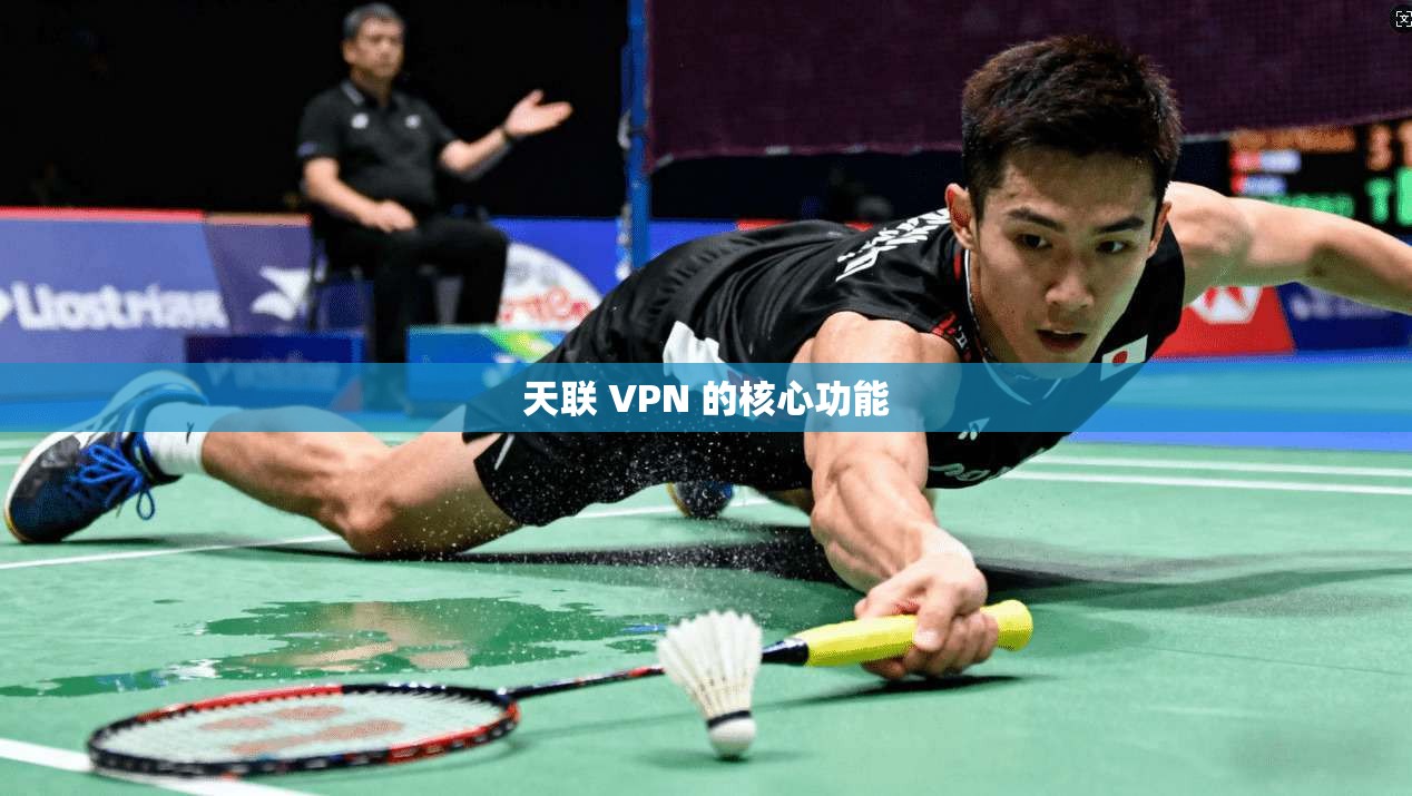 天联 VPN 的核心功能