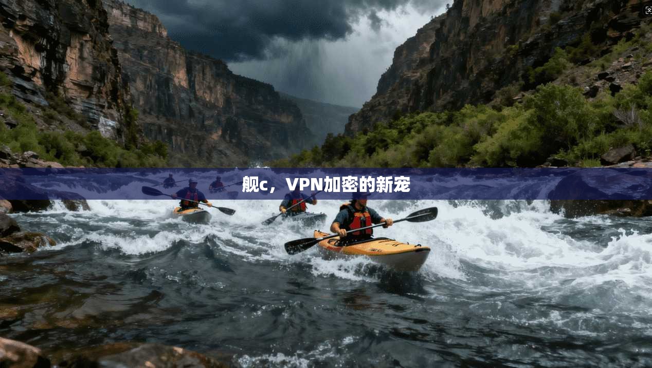 舰c,VPN加密的新宠