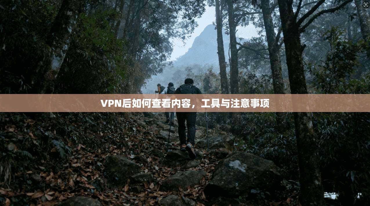 VPN后如何查看内容,工具与注意事项
