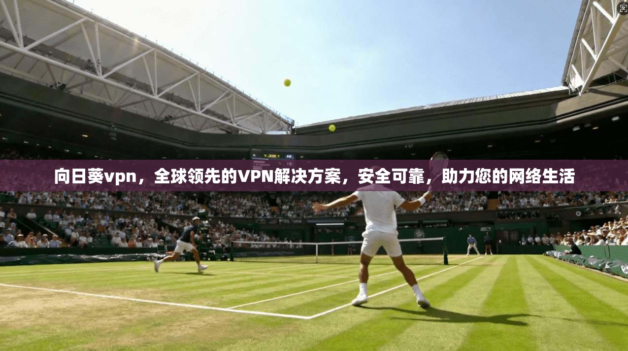 向日葵vpn，全球领先的VPN解决方案，安全可靠，助力您的网络生活