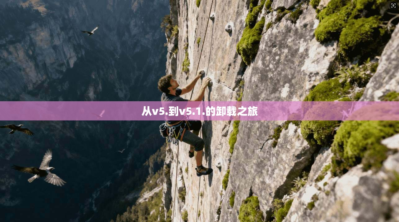从v5.到v5.1.的卸载之旅 第1张 从v5.到v5.1.的卸载之旅 第1张
