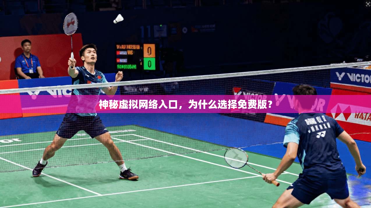 神秘虚拟网络入口，为什么选择免费版？