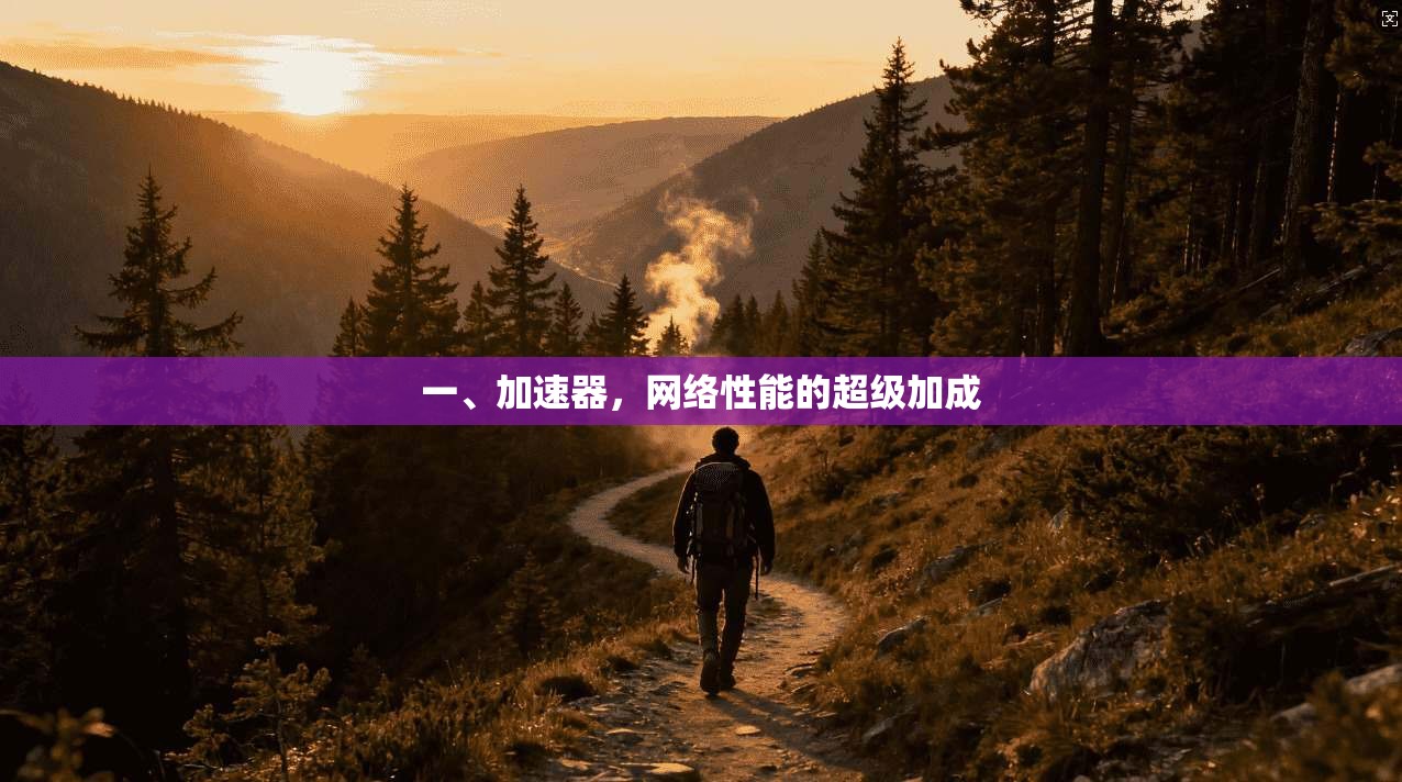 一、加速器,网络性能的超级加成
