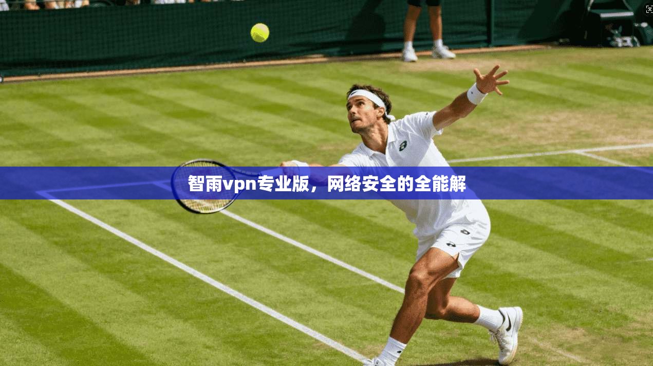 智雨vpn专业版，网络安全的全能解