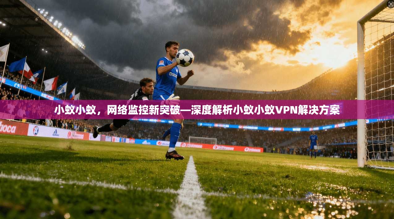 小蚁小蚁，网络监控新突破—深度解析小蚁小蚁VPN解决方案