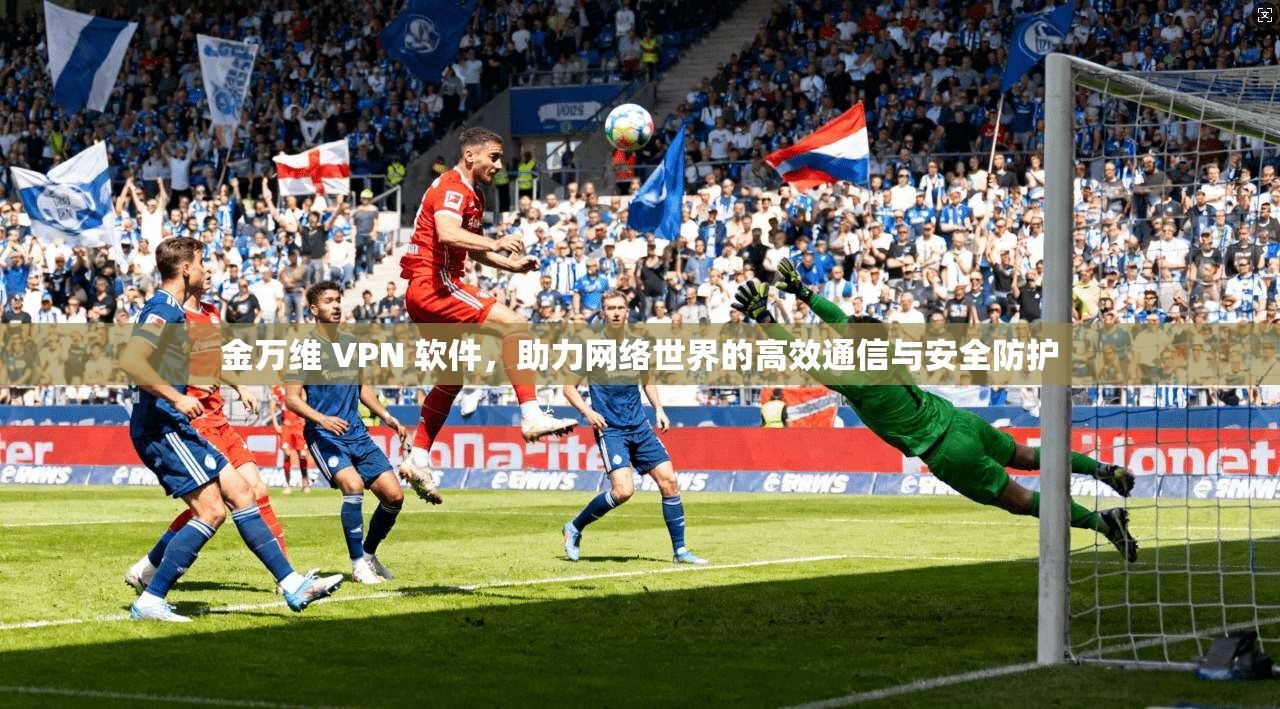 金万维 VPN 软件,助力网络世界的高效通信与安全防护