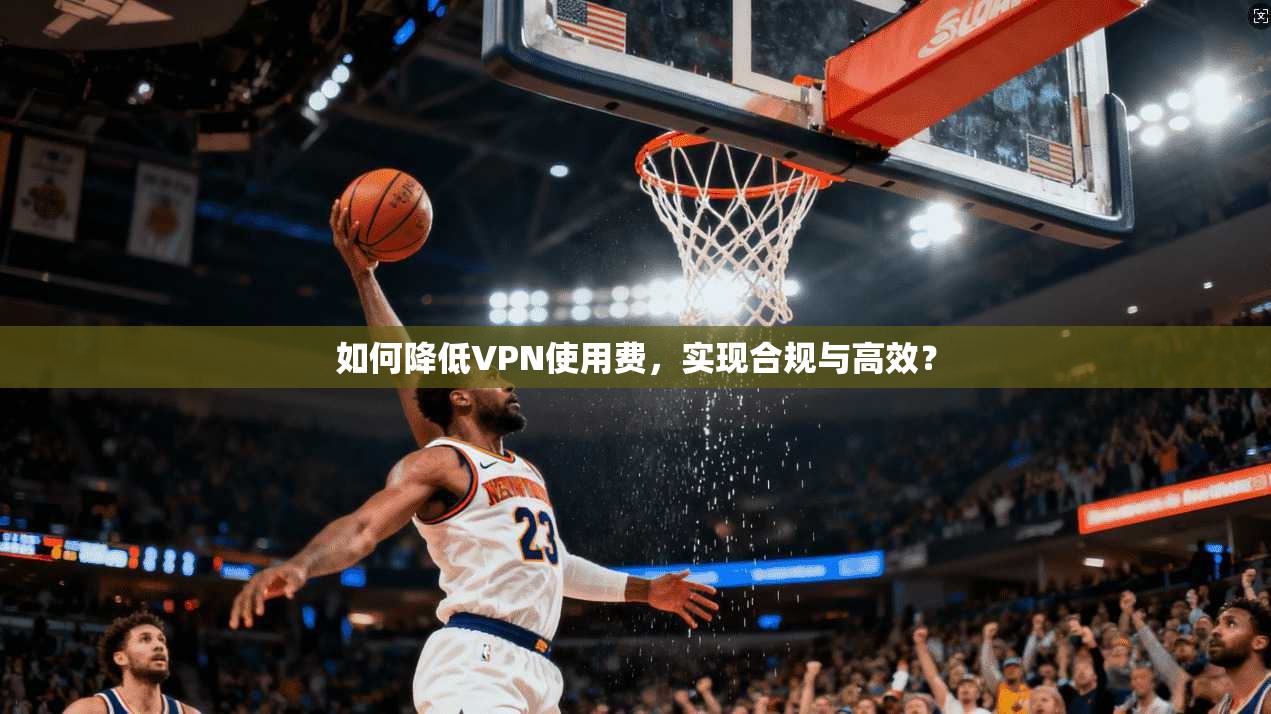 如何降低VPN使用费,实现合规与高效?