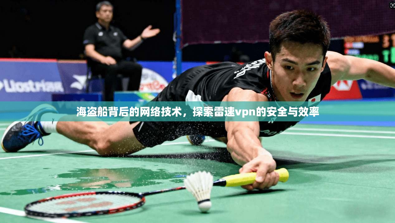 海盗船背后的网络技术，探索雷速vpn的安全与效率